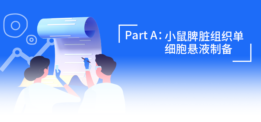 流式樣本制備：跟著步驟走，小鼠淋巴組織單細胞懸液制備so easy！