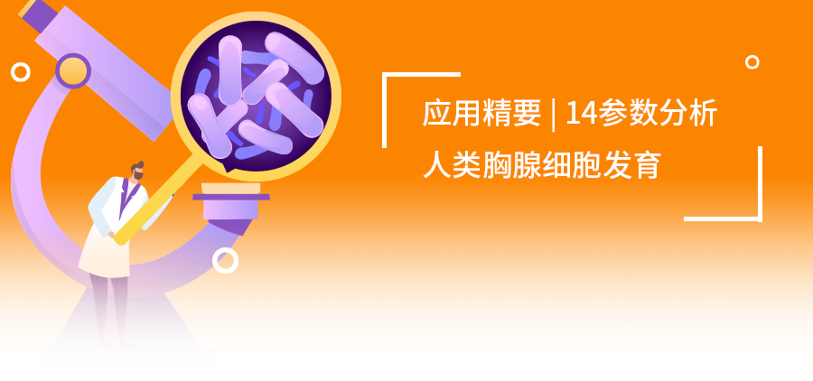 應(yīng)用精要|OMIP-73：14色方案揭秘人類胸腺細(xì)胞發(fā)育圖譜