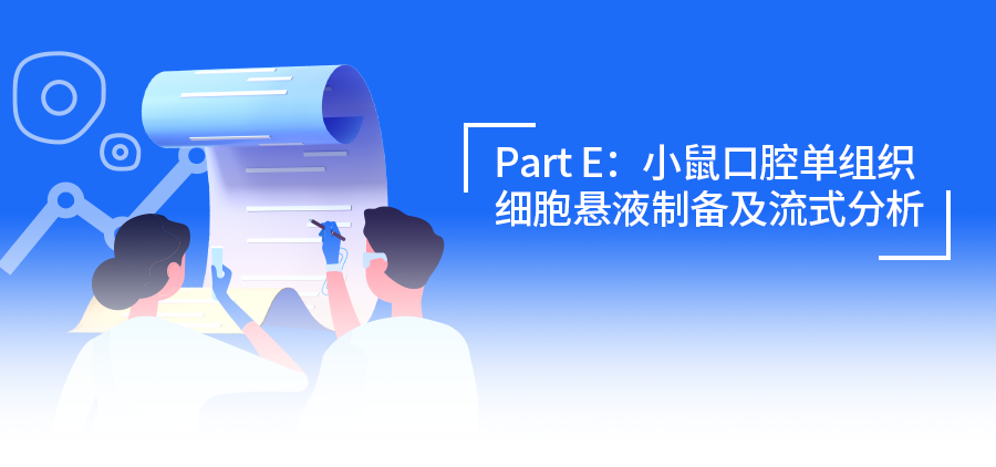 流式樣本制備Ⅳ：隱藏關(guān)卡已解鎖！小鼠口腔組織單細胞懸液制備和流式分析全解析