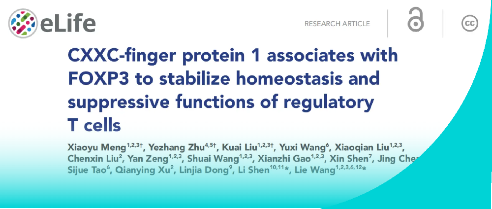 前沿解讀 | 層浪流式助力揭秘CXXC1-FOXP3在Treg細胞表觀遺傳及功能穩(wěn)態(tài)的調(diào)控機制
